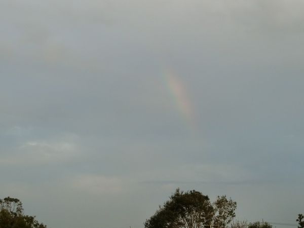 f:id:maronmame:20190926151005j:plain