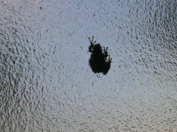 f:id:maronmame:20190926151033j:plain