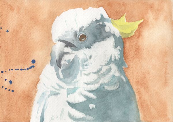 f:id:maronmame:20191002131855j:plain