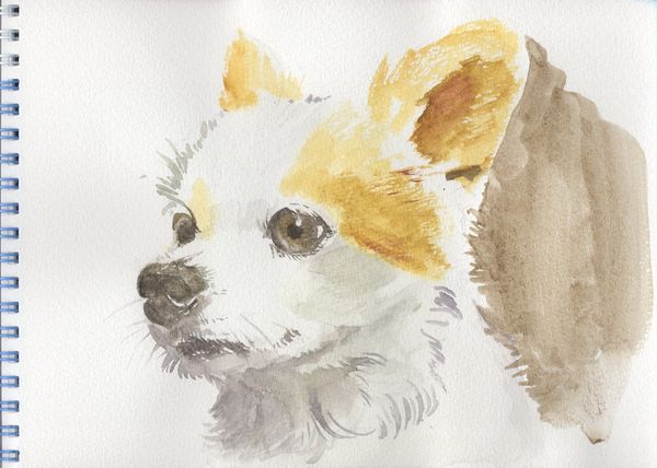 f:id:maronmame:20191002132009j:plain