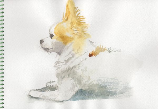 f:id:maronmame:20191002132104j:plain