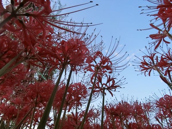 f:id:maronmame:20191002132814j:plain