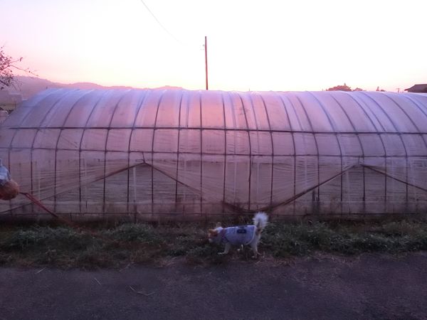 f:id:maronmame:20191002132929j:plain