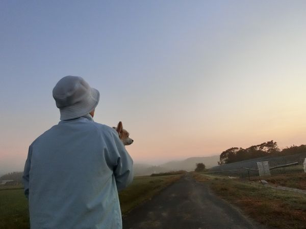 f:id:maronmame:20191002133010j:plain