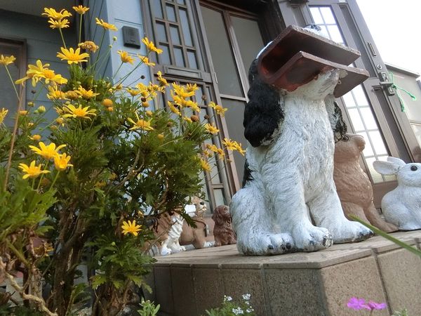 f:id:maronmame:20191002133434j:plain