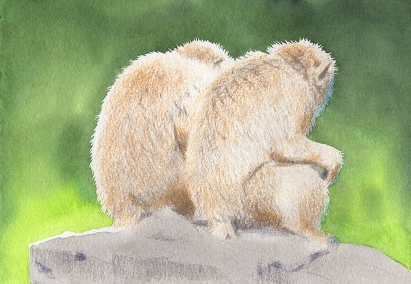 f:id:maronmame:20191005132133j:plain