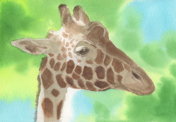 f:id:maronmame:20191005132211j:plain