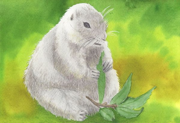 f:id:maronmame:20191005132315j:plain