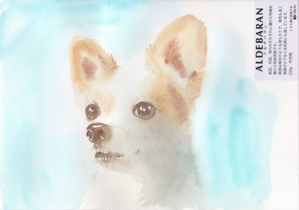 f:id:maronmame:20191005132556j:plain