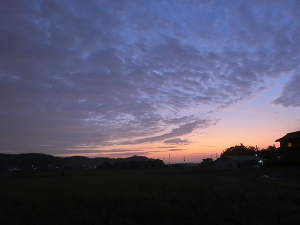 f:id:maronmame:20191005132933j:plain