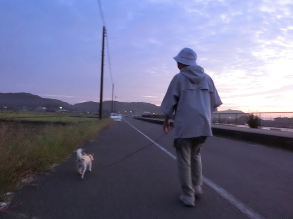 f:id:maronmame:20191005133001j:plain