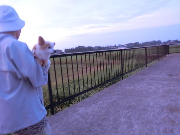 f:id:maronmame:20191005133029j:plain