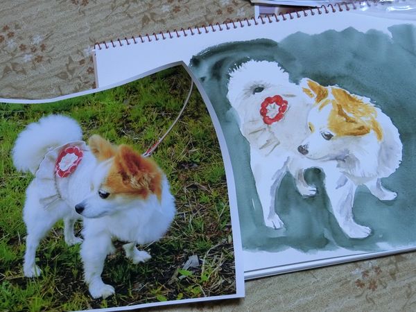 f:id:maronmame:20191005133056j:plain