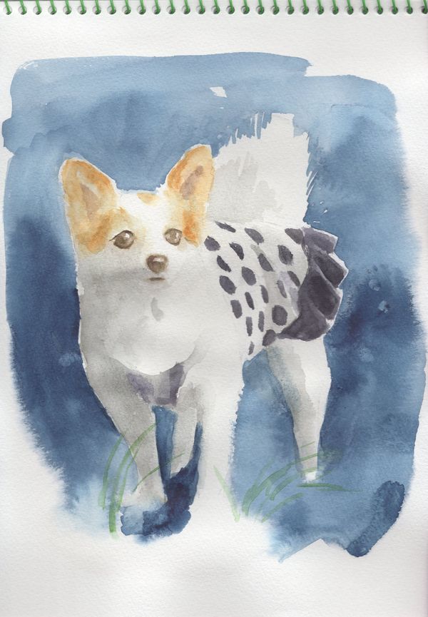 f:id:maronmame:20191007151447j:plain