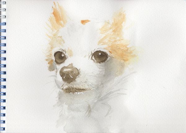 f:id:maronmame:20191007151510j:plain