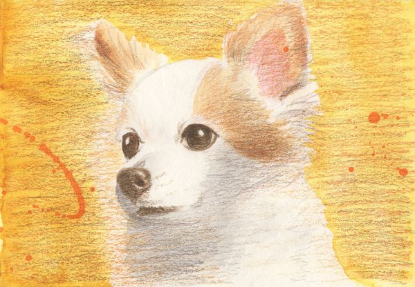 f:id:maronmame:20191029153640j:plain