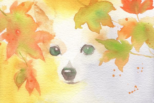 f:id:maronmame:20191029153913j:plain