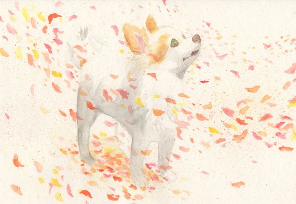 f:id:maronmame:20191029154014j:plain