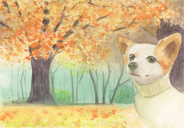 f:id:maronmame:20191029154124j:plain