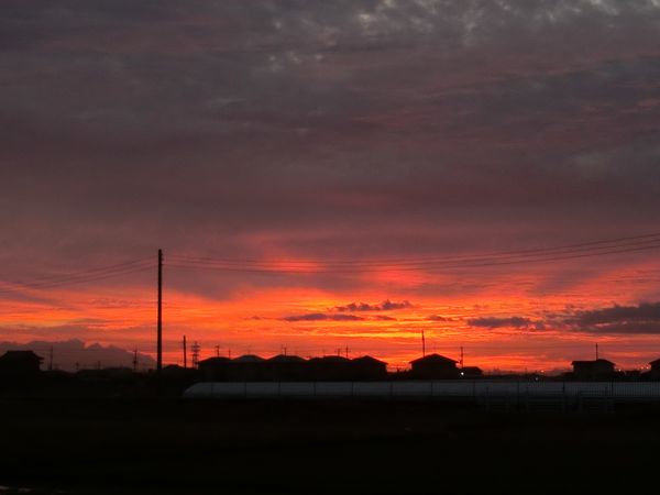 f:id:maronmame:20191029154905j:plain