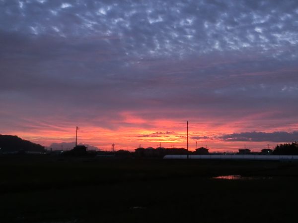 f:id:maronmame:20191029154921j:plain