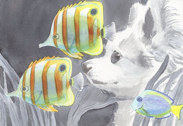 f:id:maronmame:20191104104449j:plain