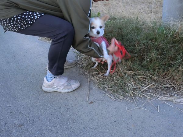 f:id:maronmame:20191104105446j:plain