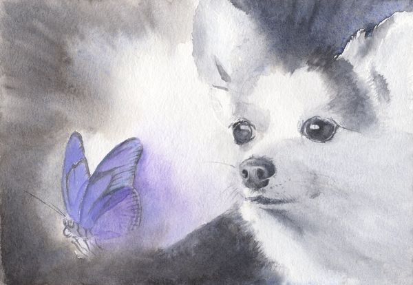 f:id:maronmame:20191107154541j:plain