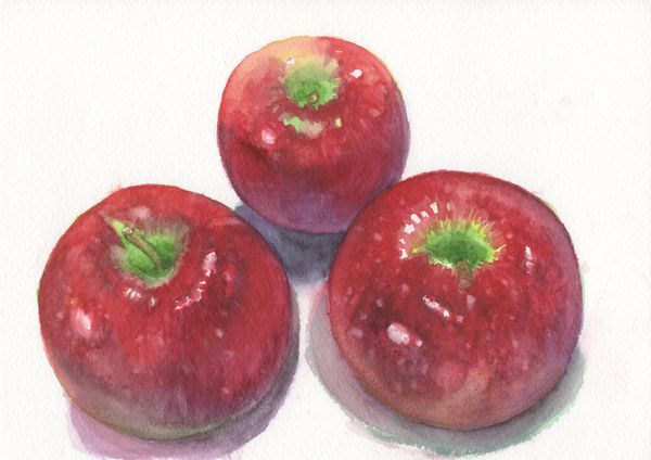 f:id:maronmame:20191107154811j:plain