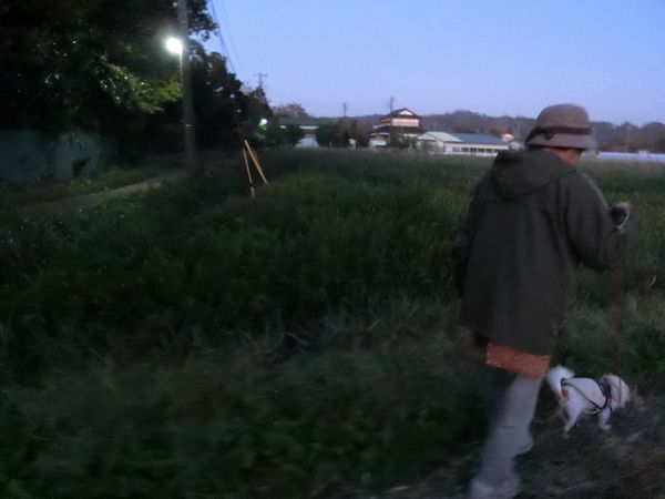 f:id:maronmame:20191107155328j:plain