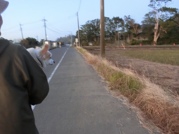 f:id:maronmame:20191107155355j:plain