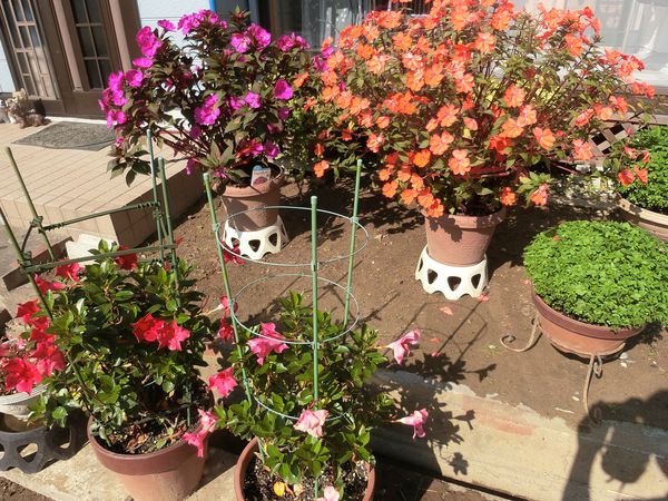 f:id:maronmame:20191107155414j:plain