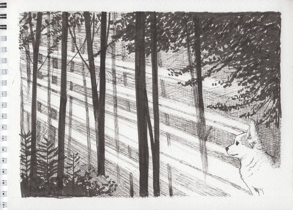 f:id:maronmame:20191126155454j:plain