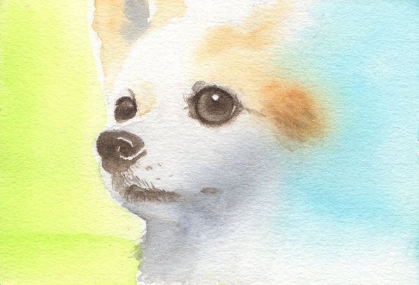 f:id:maronmame:20191126155623j:plain