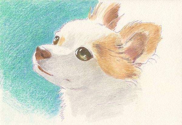 f:id:maronmame:20191129140232j:plain