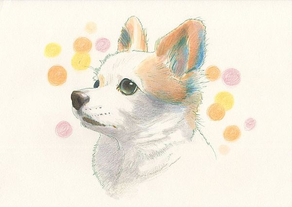 f:id:maronmame:20191129140336j:plain