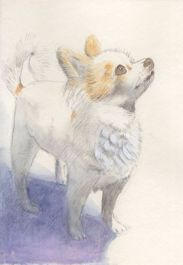 f:id:maronmame:20191221133919j:plain