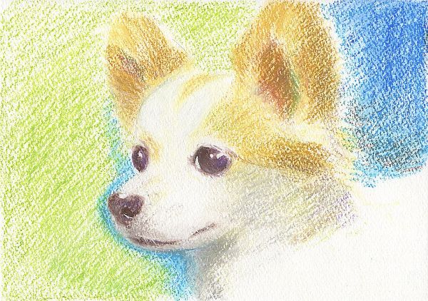 f:id:maronmame:20191221134120j:plain