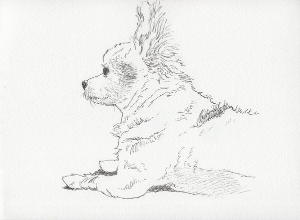 f:id:maronmame:20191221134323j:plain