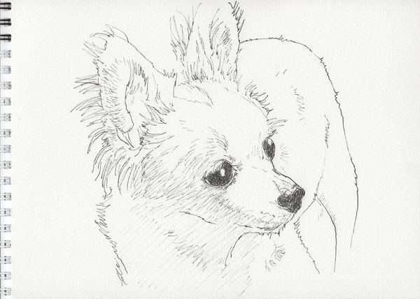 f:id:maronmame:20191221134344j:plain