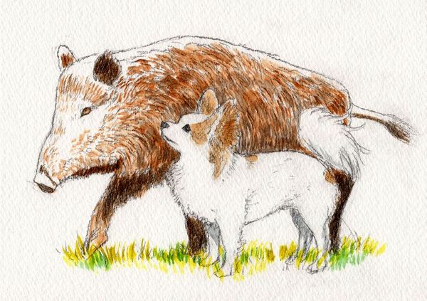 f:id:maronmame:20191221134558j:plain