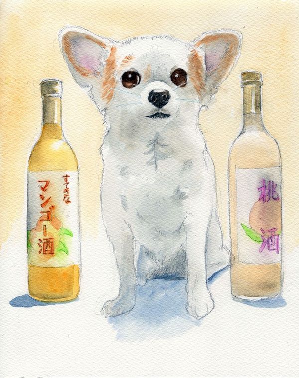 f:id:maronmame:20191221134624j:plain