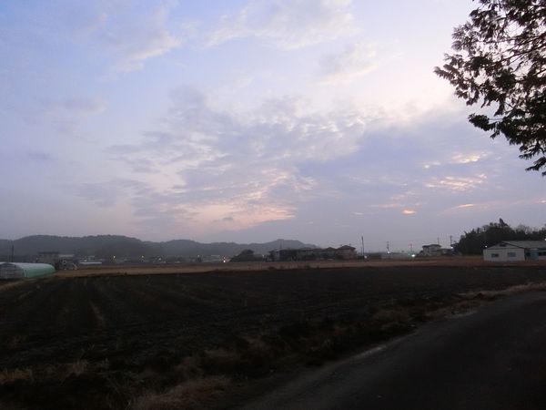 f:id:maronmame:20191221134727j:plain