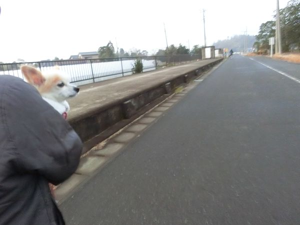 f:id:maronmame:20191221134911j:plain