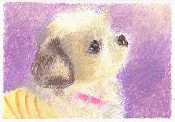 f:id:maronmame:20200204182809j:plain