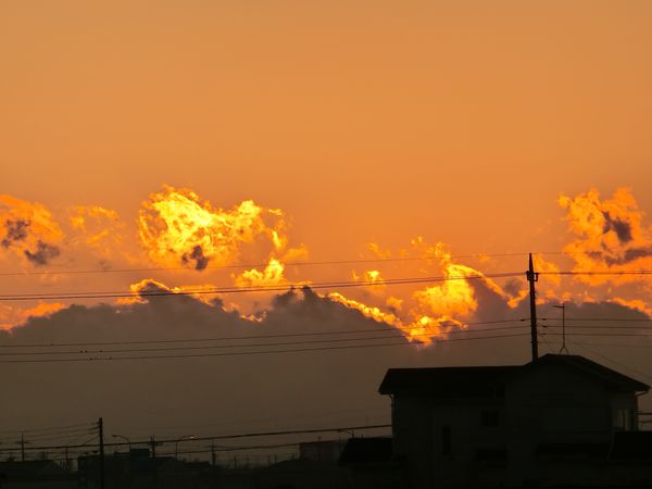 f:id:maronmame:20200204183244j:plain