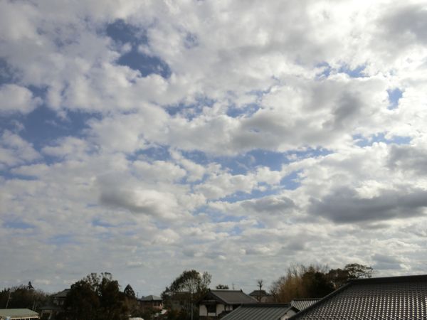 f:id:maronmame:20200204183413j:plain