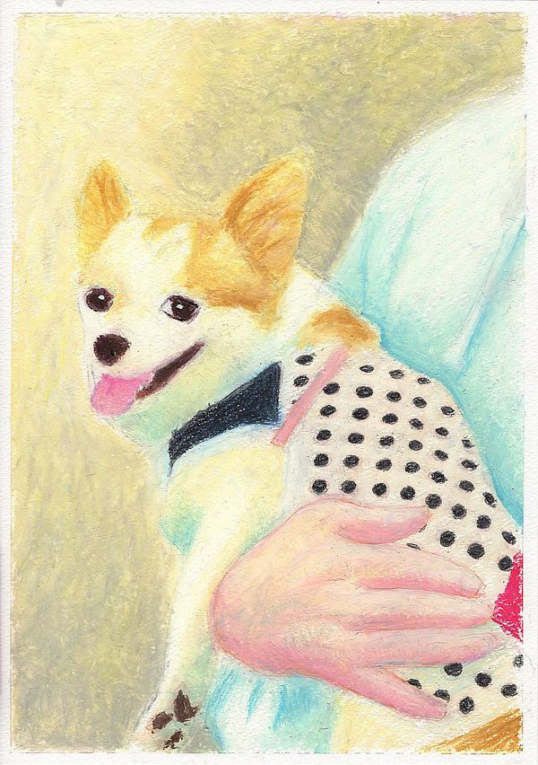 f:id:maronmame:20200208190203j:plain f:id:maronmame:20200208190203j:plain