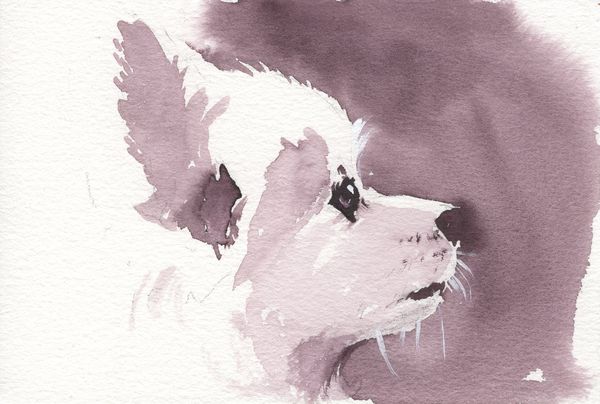 f:id:maronmame:20200208190331j:plain f:id:maronmame:20200208190331j:plain