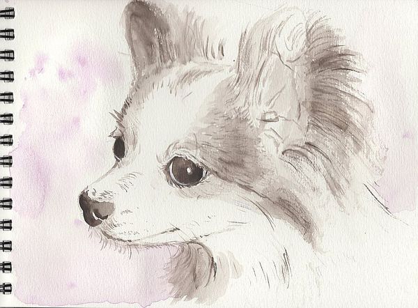 f:id:maronmame:20200208190722j:plain f:id:maronmame:20200208190722j:plain